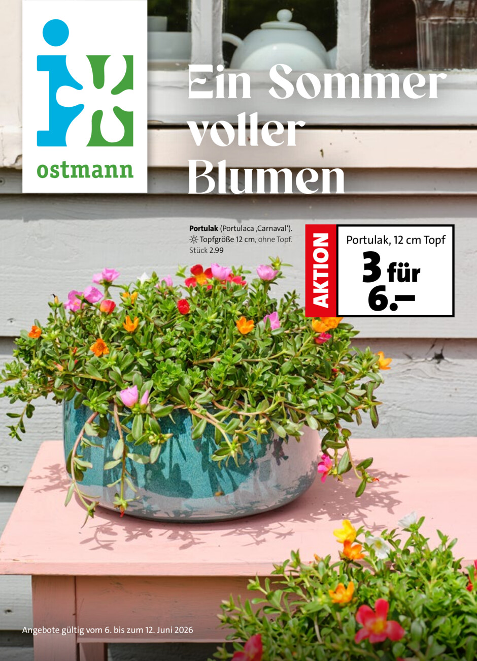 Ostmann vom Samstag, 06.06.2026