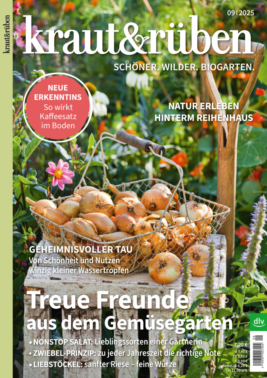 kraut&rüben vom Donnerstag, 14.08.2025