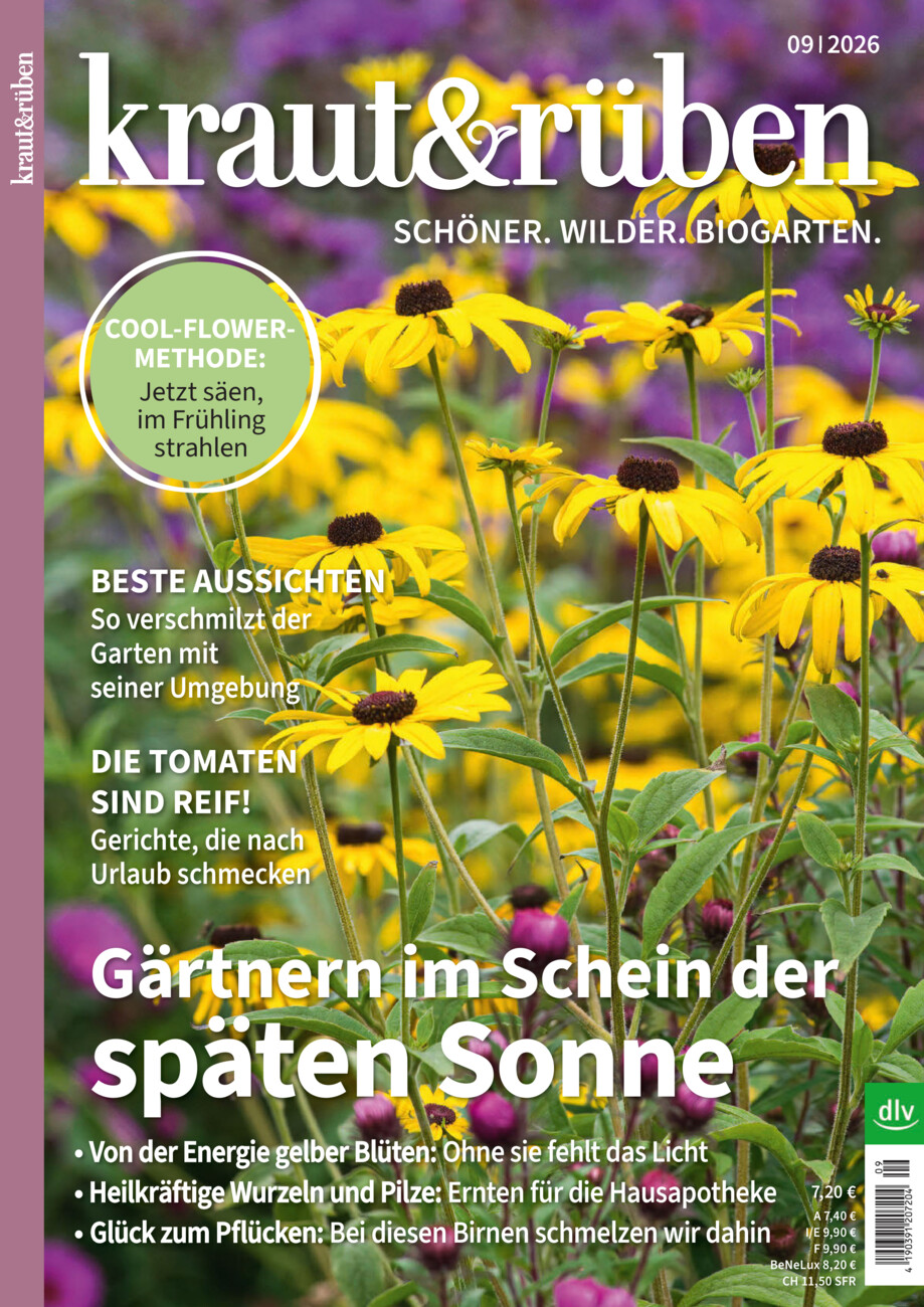 kraut & rüben vom Donnerstag, 20.08.2026