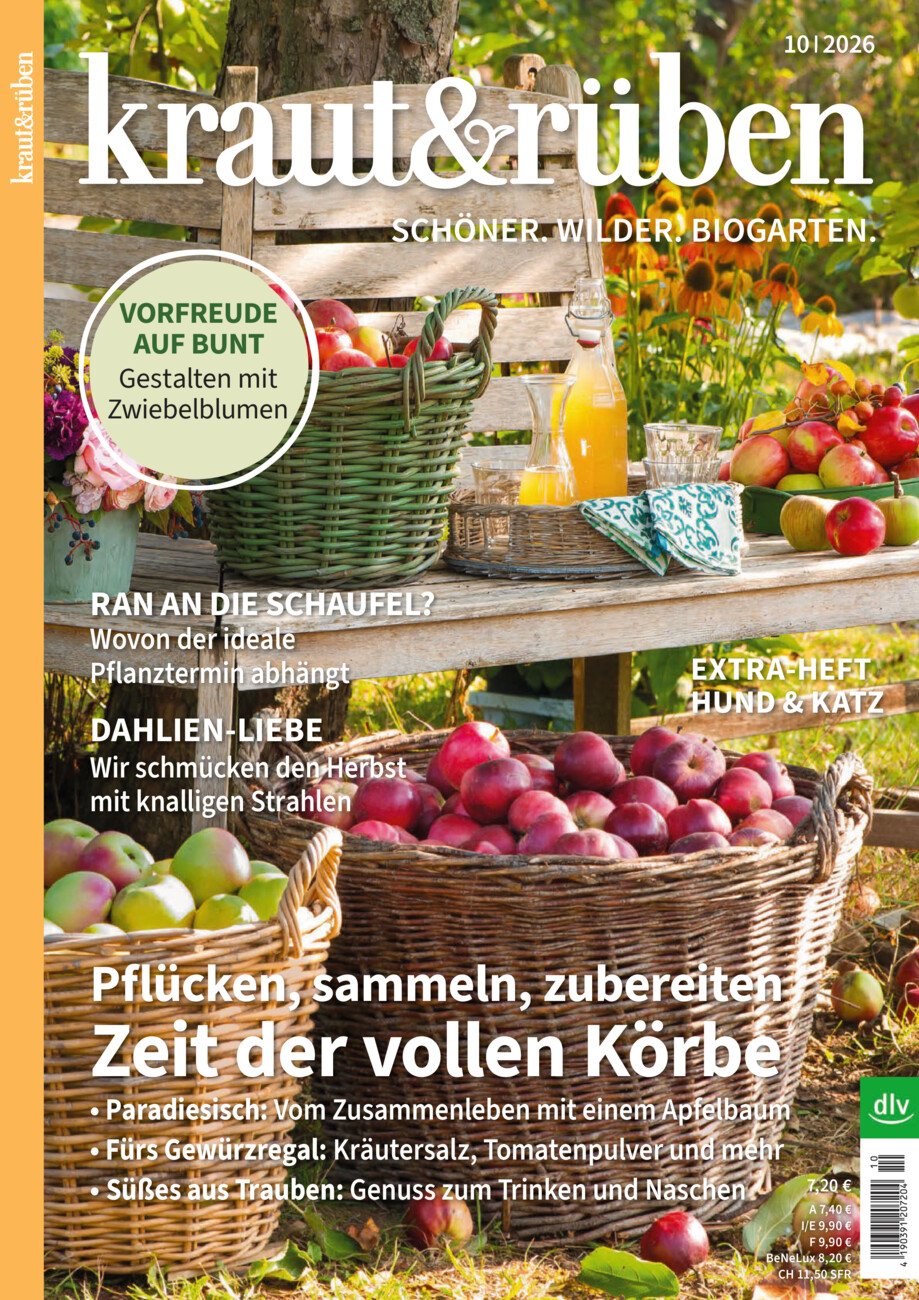 kraut & rüben vom Donnerstag, 17.09.2026