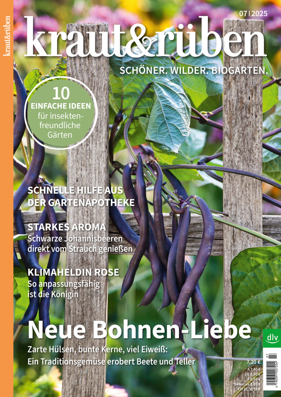 kraut&rüben vom Freitag, 20.06.2025